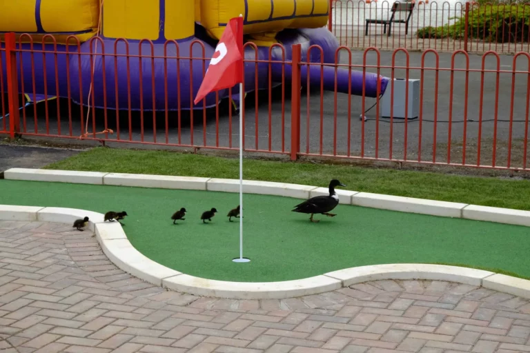 1-5-scaled-68f24573c90ac