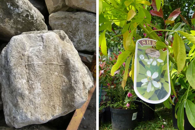 rocks-and-plants-selected-68f257d7790b6